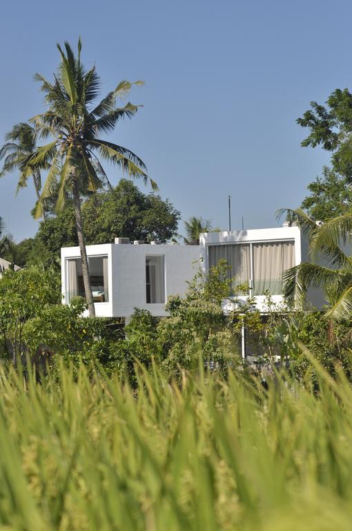 Villa Ashoka Canggu Zewnętrze zdjęcie